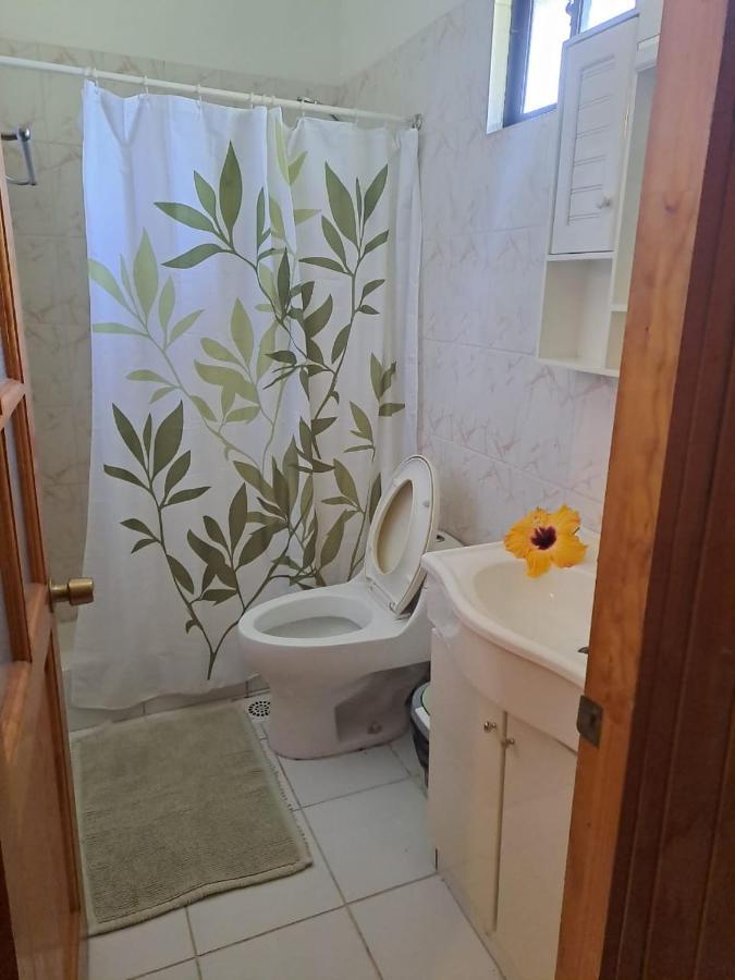 Hostal Avareipua Hanga Roa Extérieur photo